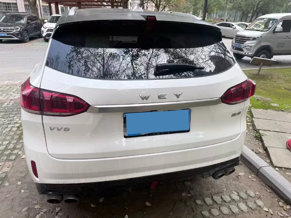 2021 WEY VV6 2.0T 227HP L4 7DCT,autocango,china used car exporter,china ev exporter,chinese used car exporter,chinese used ev exporter