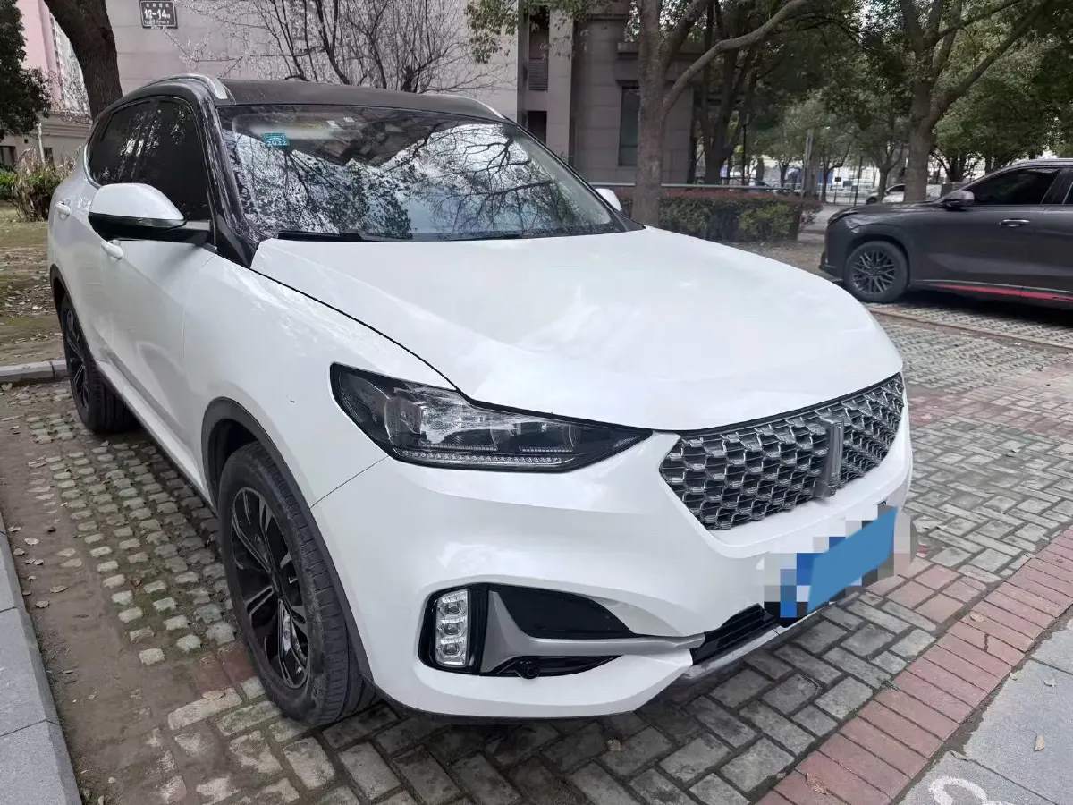 2021 WEY VV6 2.0T 227HP L4 7DCT,autocango,china used car exporter,china ev exporter,chinese used car exporter,chinese used ev exporter