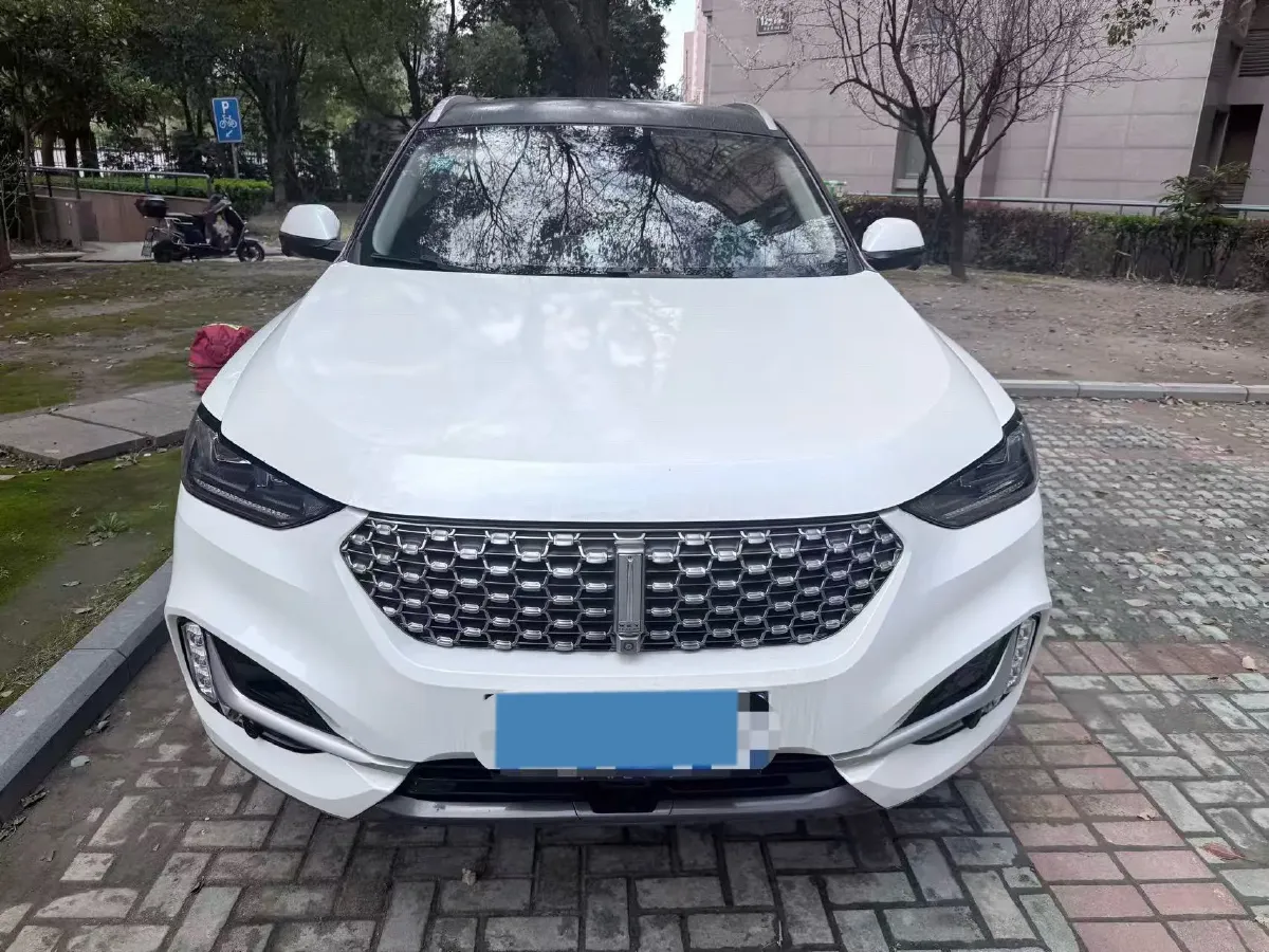 2021 WEY VV6 2.0T 227HP L4 7DCT,autocango,china used car exporter,china ev exporter,chinese used car exporter,chinese used ev exporter