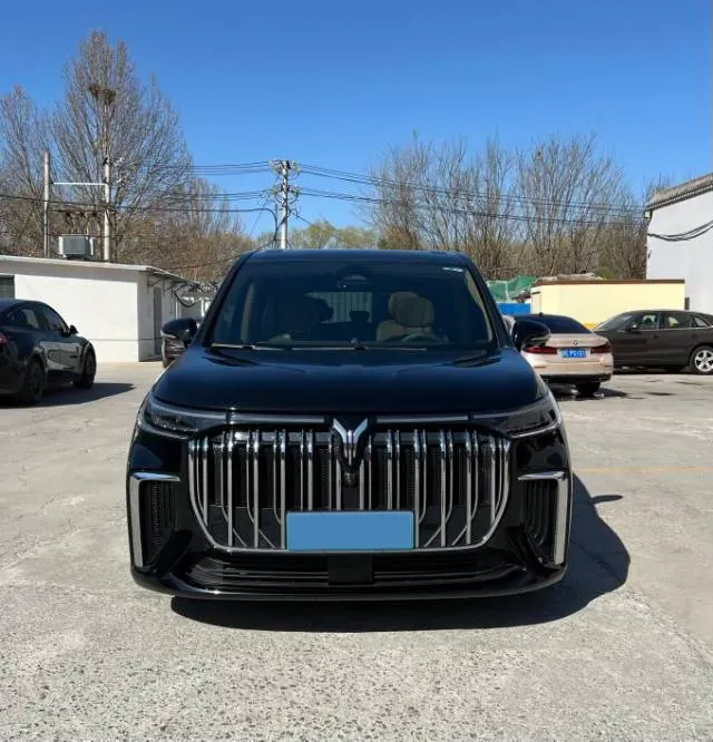2024 Voyah Dream 1.5T 150HP L4 PHEV 43KWH,autocango,china used car exporter,china ev exporter,chinese used car exporter,chinese used ev exporter