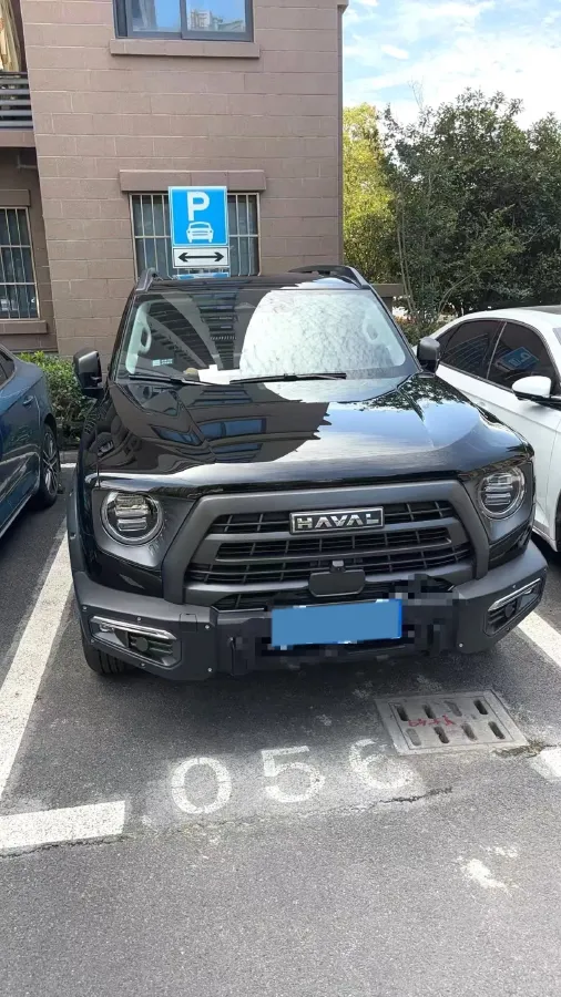 2024 Haval Dargo 2.0T 238HP L4 9DCT,autocango,china used car exporter,china ev exporter,chinese used car exporter,chinese used ev exporter