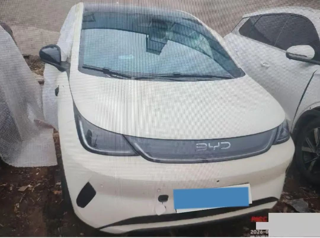 2025 BYD Dolphin BEV 45.12KWH,autocango,china used car exporter,china ev exporter,chinese used car exporter,chinese used ev exporter