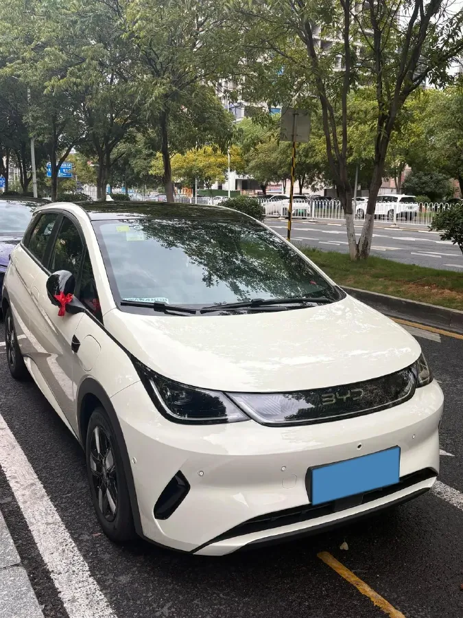 2025 BYD Dolphin BEV 45.12KWH,autocango,china used car exporter,china ev exporter,chinese used car exporter,chinese used ev exporter