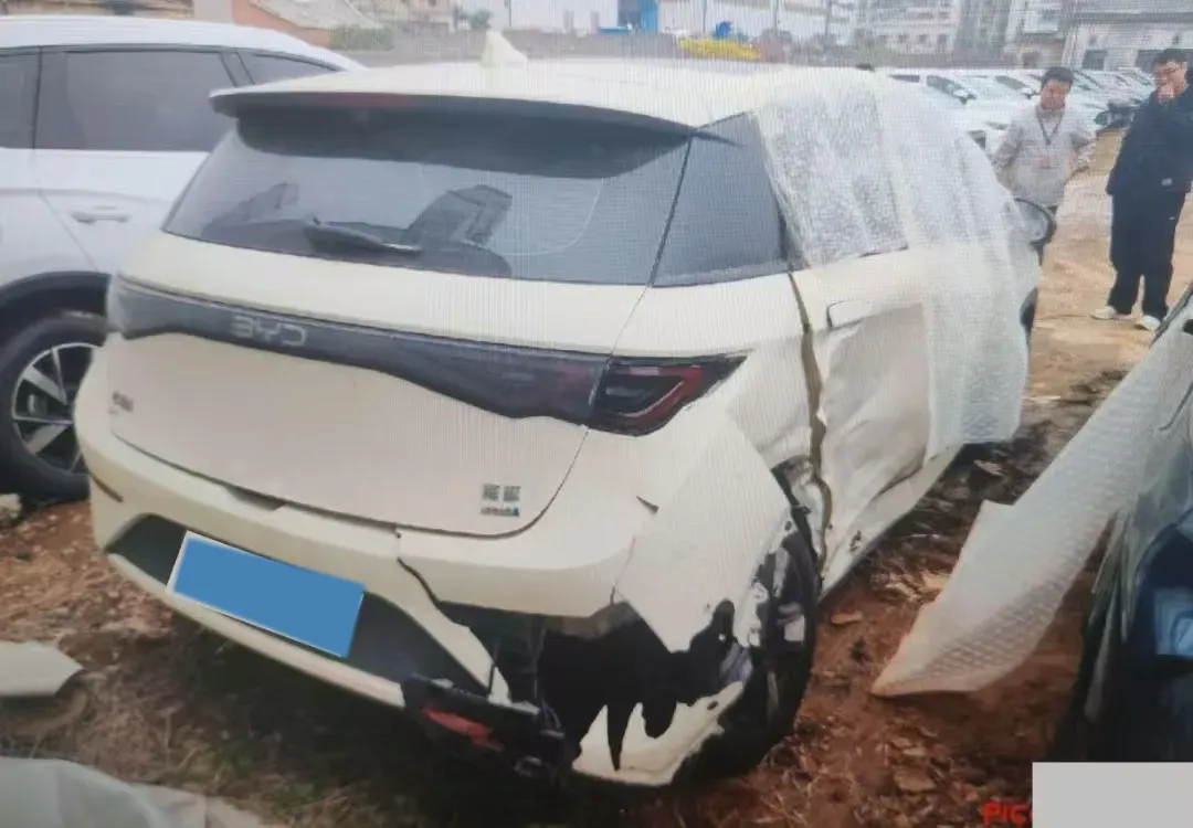 2025 BYD Dolphin BEV 45.12KWH,autocango,china used car exporter,china ev exporter,chinese used car exporter,chinese used ev exporter