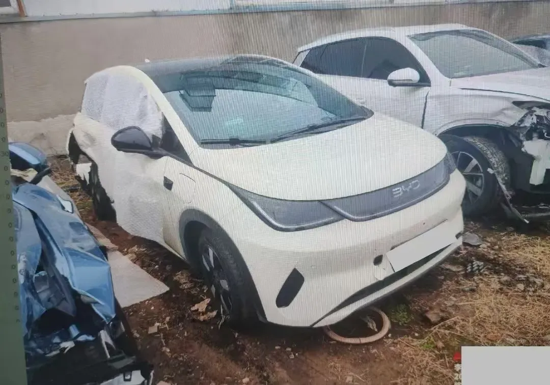 2025 BYD Dolphin BEV 45.12KWH,autocango,china used car exporter,china ev exporter,chinese used car exporter,chinese used ev exporter