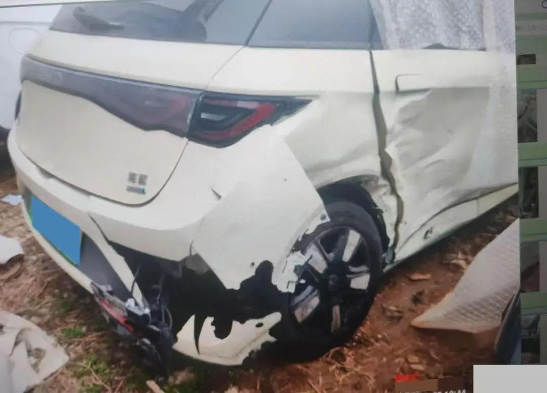 2025 BYD Dolphin BEV 45.12KWH,autocango,china used car exporter,china ev exporter,chinese used car exporter,chinese used ev exporter