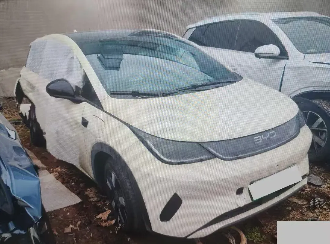 2025 BYD Dolphin BEV 45.12KWH,autocango,china used car exporter,china ev exporter,chinese used car exporter,chinese used ev exporter