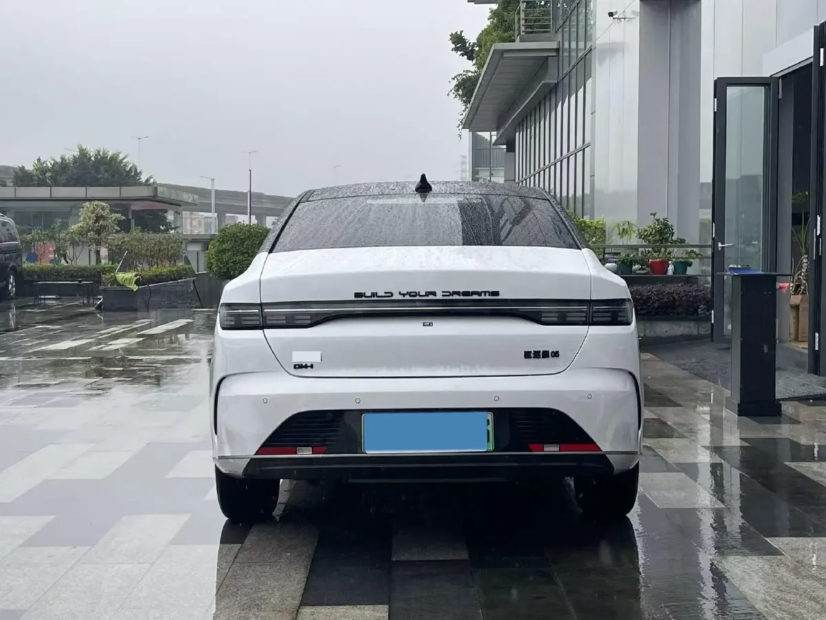 2024 BYD Destroyer 05 1.5L 110HP L4 E-CVT PHEV 8.3KWH,autocango,china used car exporter,china ev exporter,chinese used car exporter,chinese used ev exporter