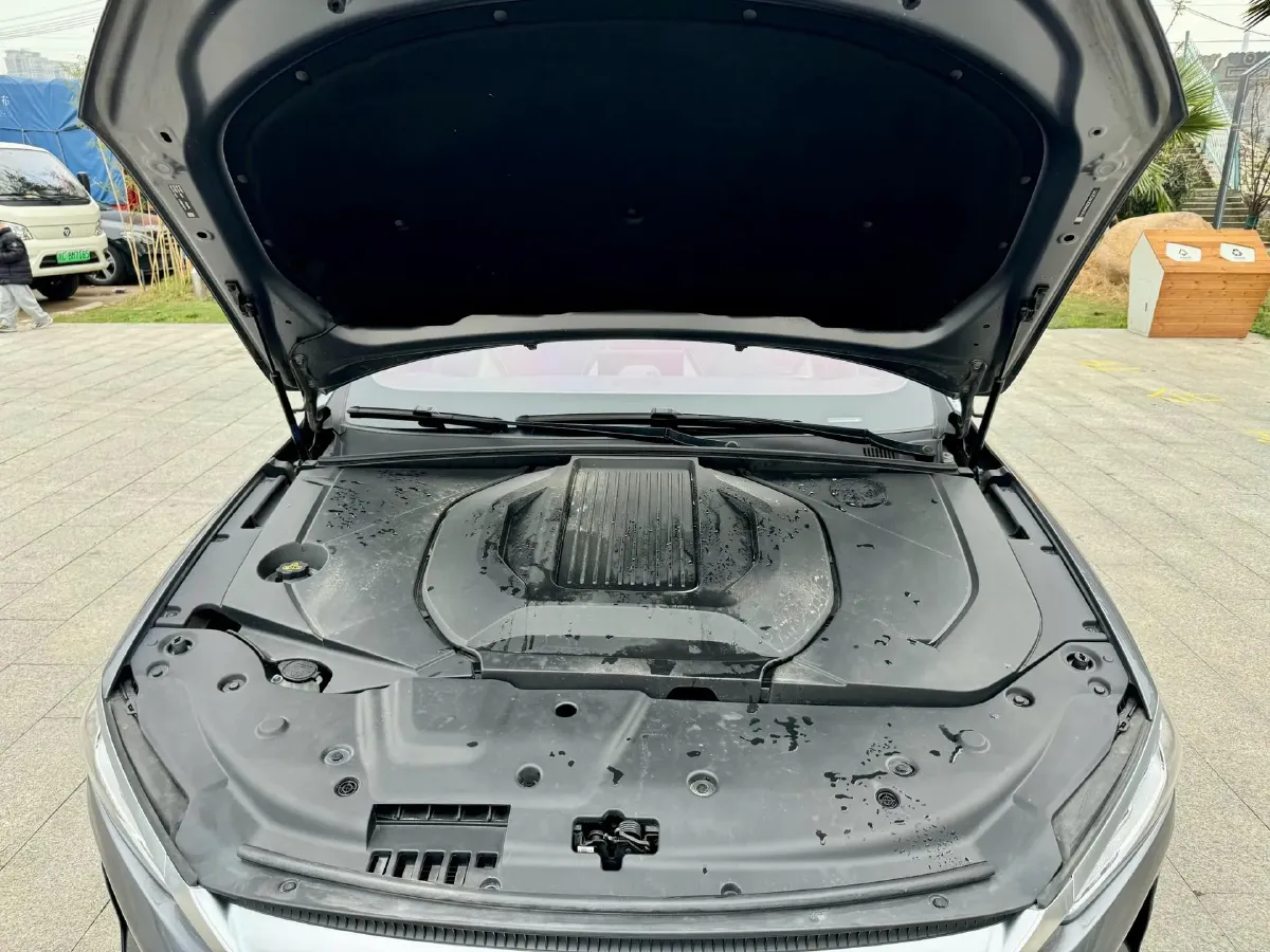 2021 DongFeng FuKang e Elysee BEV 30.7KWH,autocango,china used car exporter,china ev exporter,chinese used car exporter,chinese used ev exporter