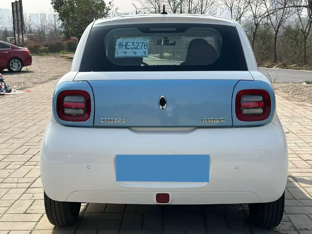 2019 Ora BlackCat BEV 28.5KWH,autocango,china used car exporter,china ev exporter,chinese used car exporter,chinese used ev exporter