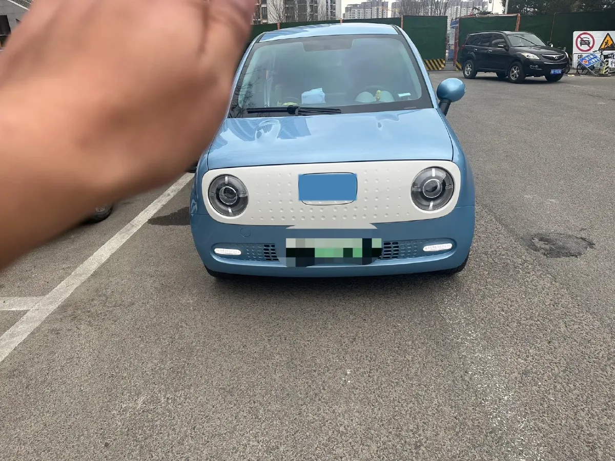 2021 Ora BlackCat BEV 33KWH,autocango,china used car exporter,china ev exporter,chinese used car exporter,chinese used ev exporter