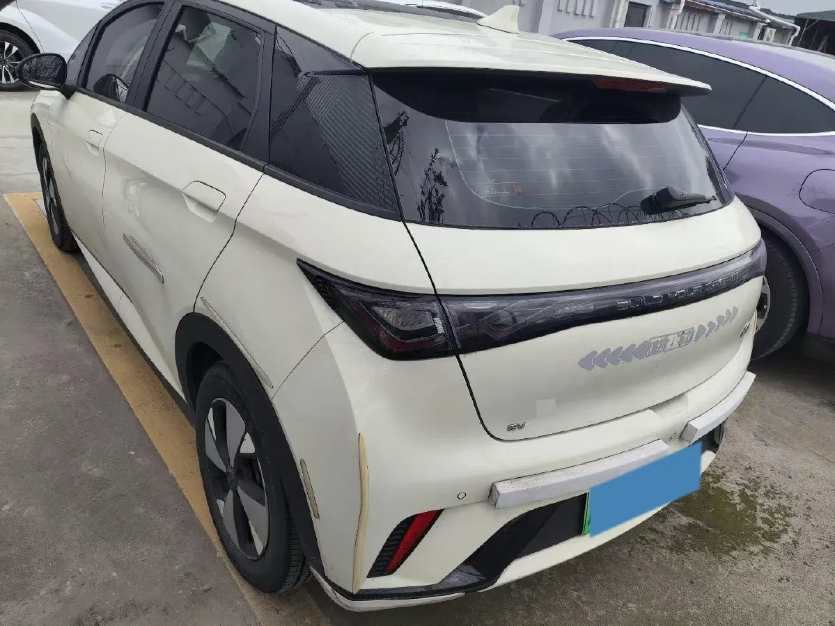2023 BYD Dolphin BEV 44.928KWH,autocango,china used car exporter,china ev exporter,chinese used car exporter,chinese used ev exporter