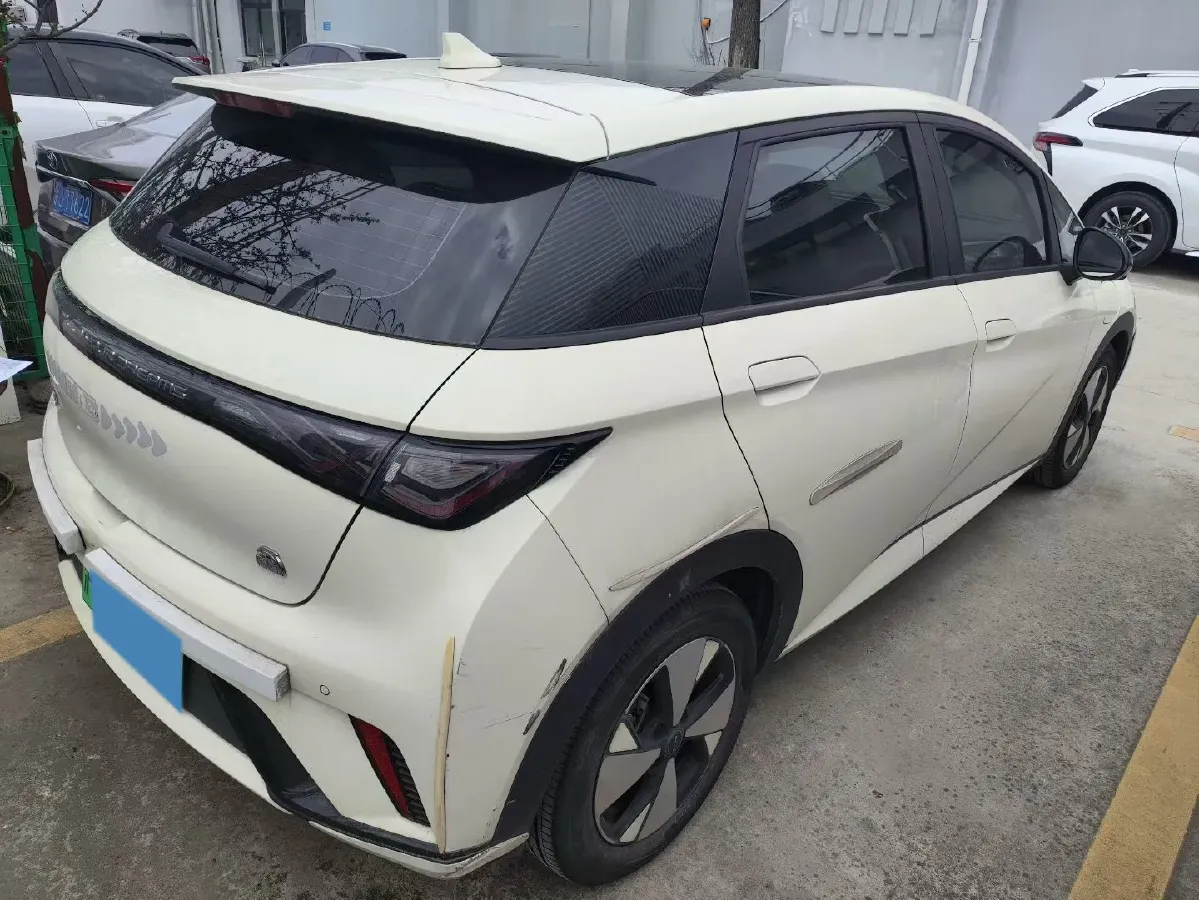 2023 BYD Dolphin BEV 44.928KWH,autocango,china used car exporter,china ev exporter,chinese used car exporter,chinese used ev exporter