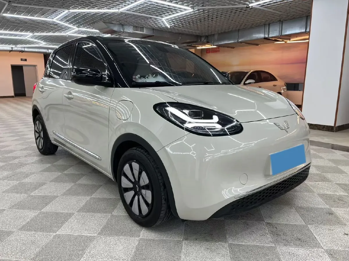 2023 WuLing BinGuo BEV 37.9KWH,autocango,china used car exporter,china ev exporter,chinese used car exporter,chinese used ev exporter