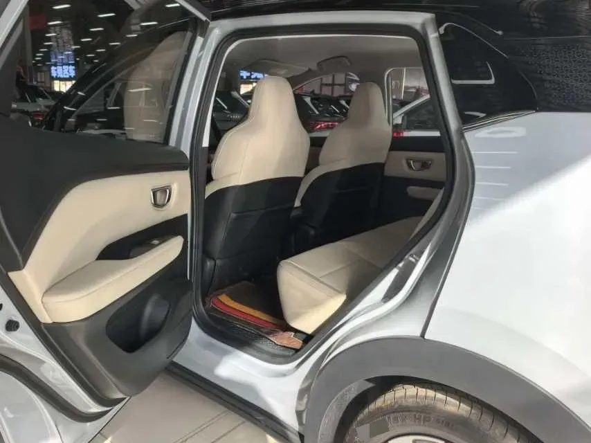 2024 WuLing BinGuoPLUS BEV 37.9KWH,autocango,china used car exporter,china ev exporter,chinese used car exporter,chinese used ev exporter