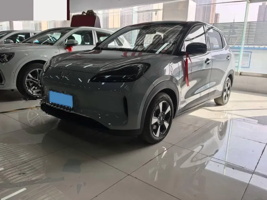 2024 WuLing BinGuoPLUS BEV 37.9KWH,autocango,china used car exporter,china ev exporter,chinese used car exporter,chinese used ev exporter
