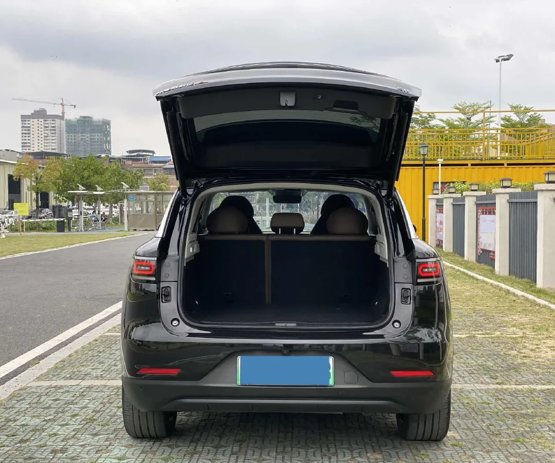 2023 Leapmotor C11 1.2T 131HP L3 REEV 43.74KWH,autocango,china used car exporter,china ev exporter,chinese used car exporter,chinese used ev exporter