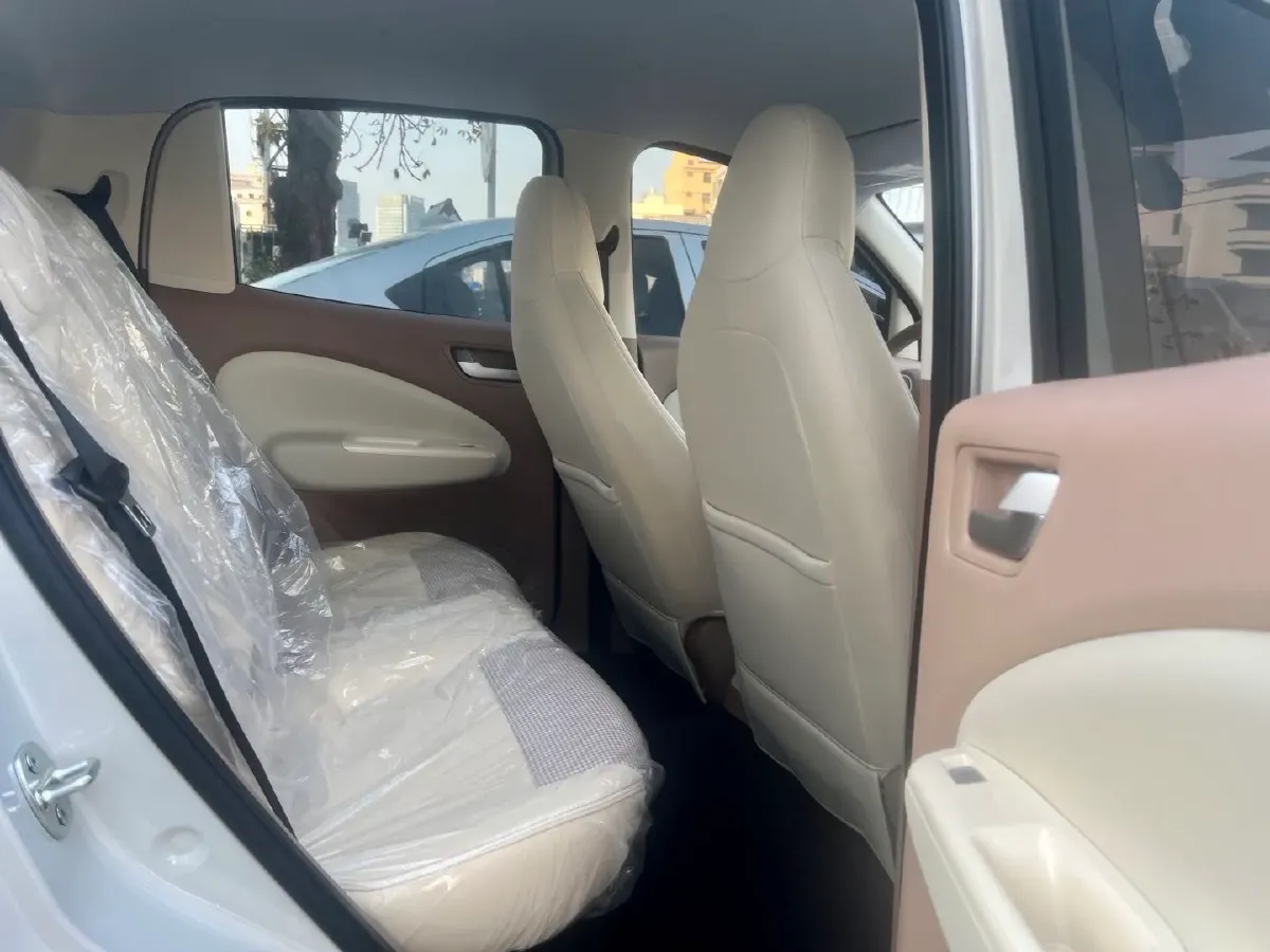 2025 WuLing HongGuang MINI EV BEV 16.2KWH,autocango,china used car exporter,china ev exporter,chinese used car exporter,chinese used ev exporter