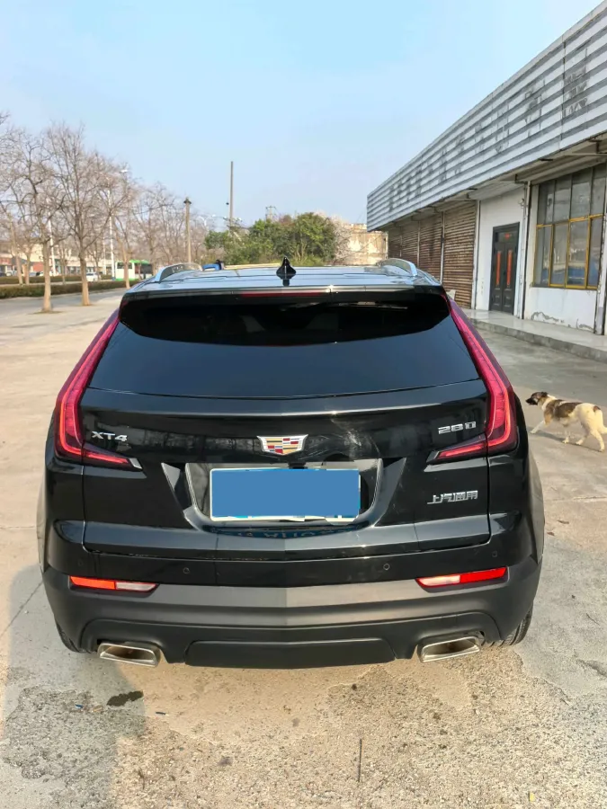 2021 Cadillac XT4 2.0T 237HP L4 9AT,autocango,china used car exporter,china ev exporter,chinese used car exporter,chinese used ev exporter