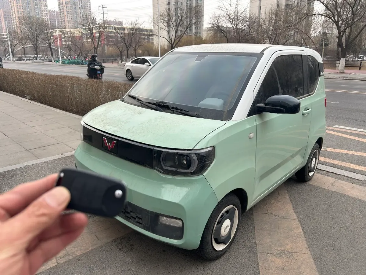 2021 WuLing HongGuang MINI EV BEV 9KWH,autocango,china used car exporter,china ev exporter,chinese used car exporter,chinese used ev exporter
