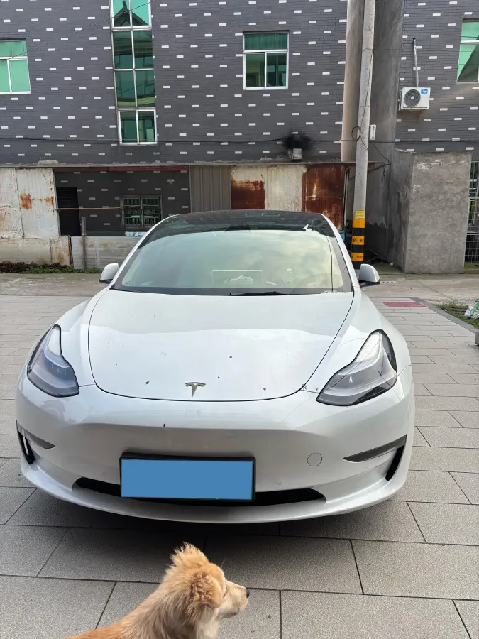 2022 Chevrolet Blazer 2.0T 237HP L4 9AT,autocango,china used car exporter,china ev exporter,chinese used car exporter,chinese used ev exporter