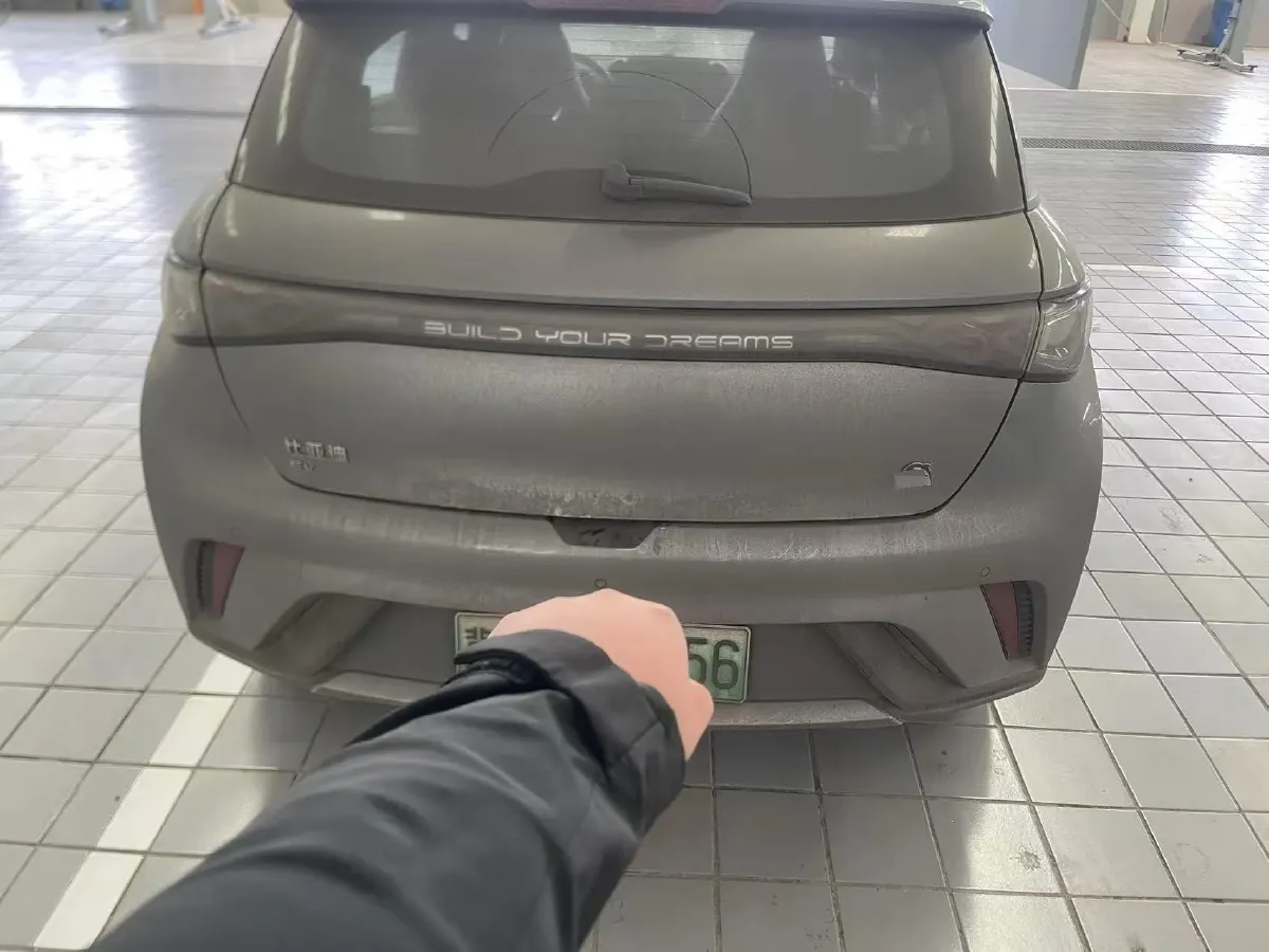 2023 BYD Dolphin BEV 44.928KWH,autocango,china used car exporter,china ev exporter,chinese used car exporter,chinese used ev exporter