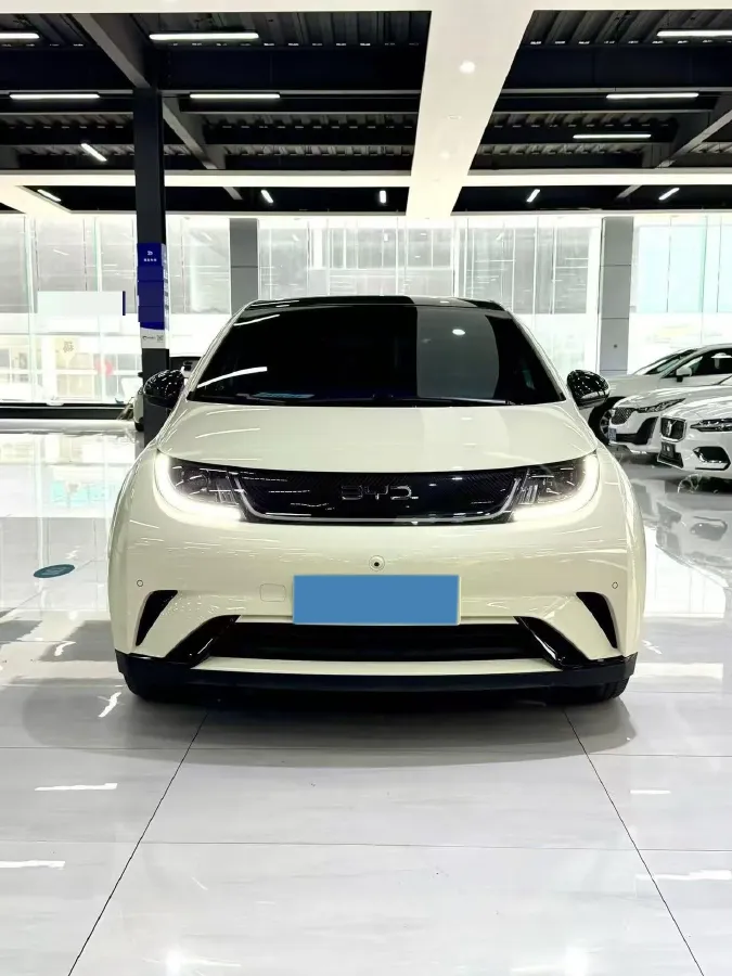 2025 BYD Dolphin BEV 44.928KWH,autocango,china used car exporter,china ev exporter,chinese used car exporter,chinese used ev exporter