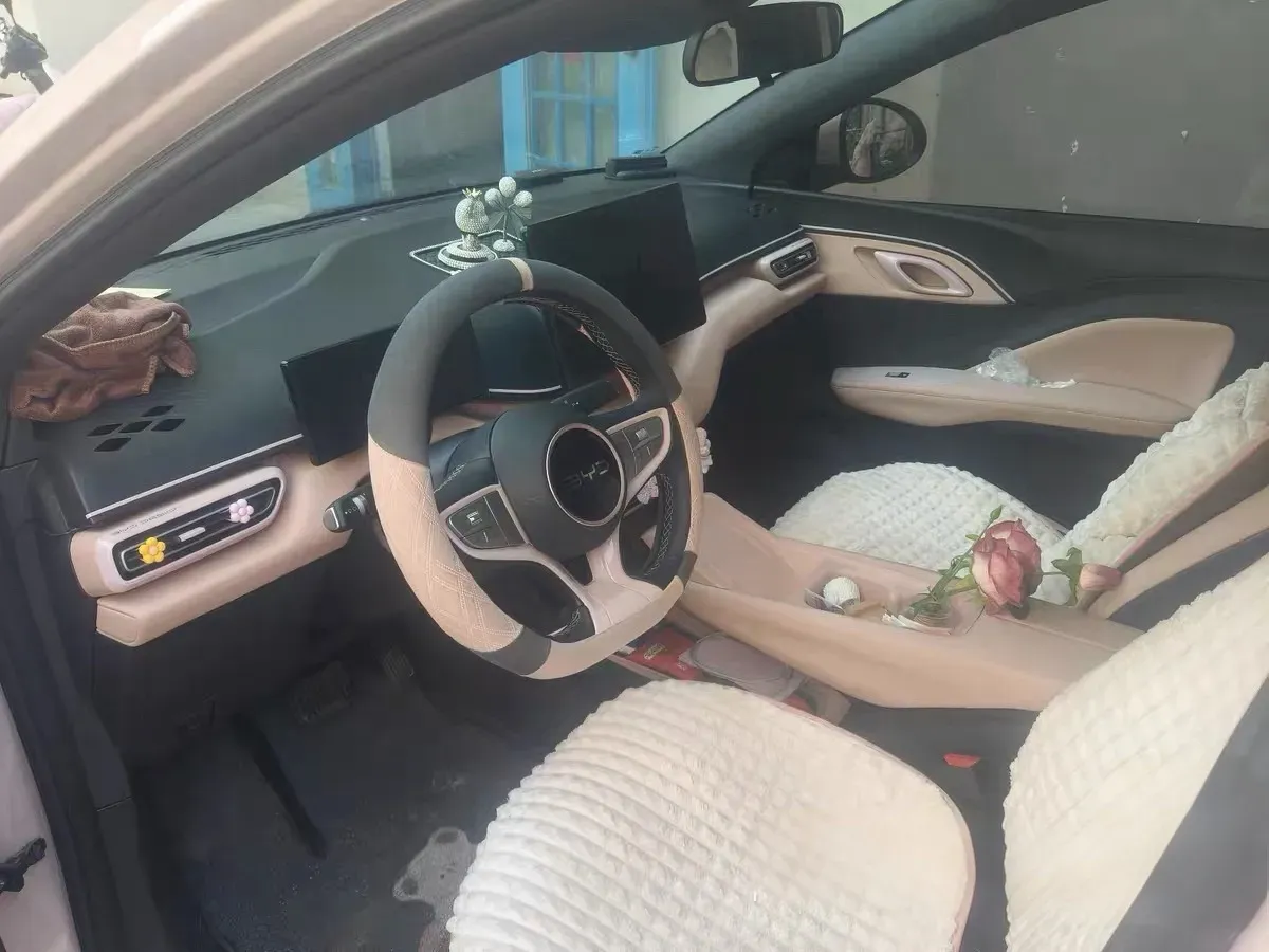 2025 BYD Seagull BEV 30.08KWH,autocango,china used car exporter,china ev exporter,chinese used car exporter,chinese used ev exporter