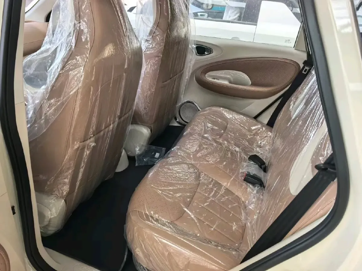 2025 WuLing BinGuo BEV,autocango,china used car exporter,china ev exporter,chinese used car exporter,chinese used ev exporter