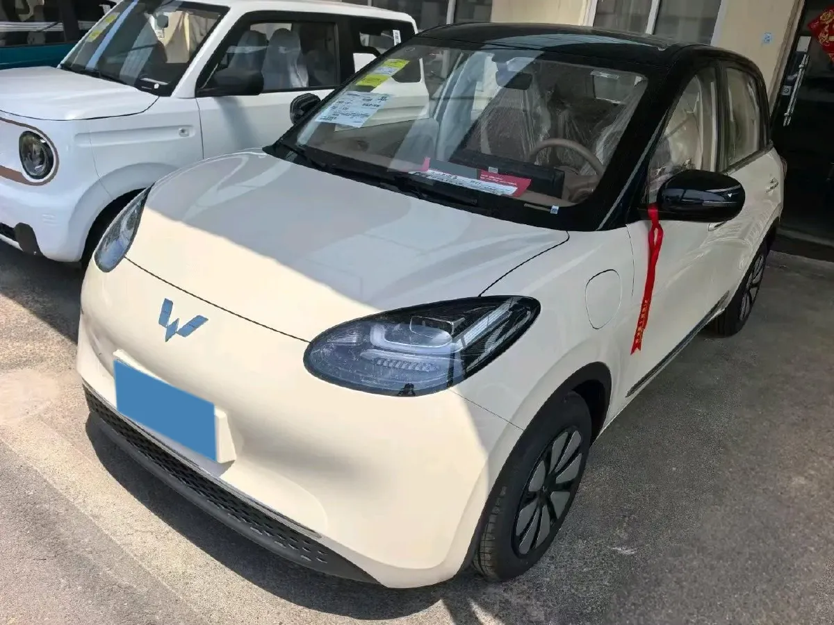 2025 WuLing BinGuo BEV,autocango,china used car exporter,china ev exporter,chinese used car exporter,chinese used ev exporter