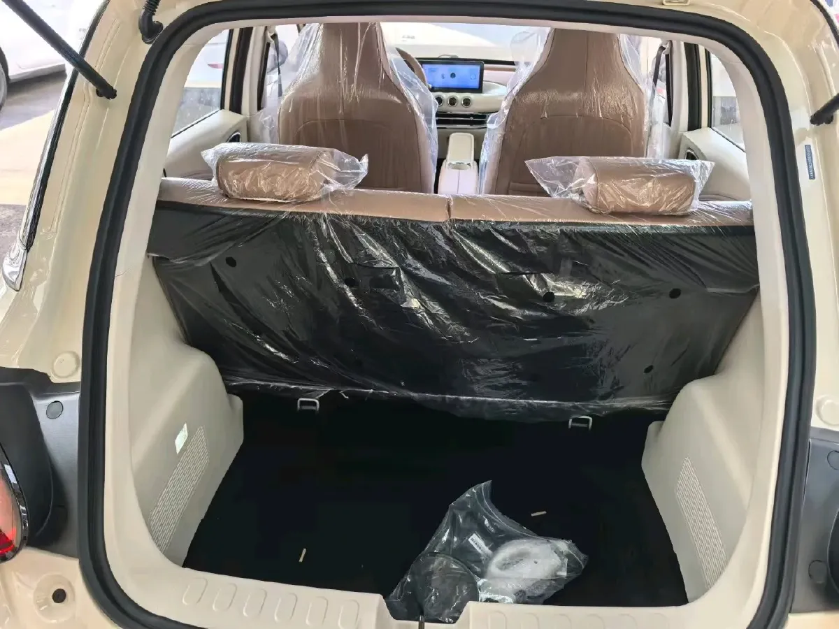 2025 WuLing BinGuo BEV,autocango,china used car exporter,china ev exporter,chinese used car exporter,chinese used ev exporter