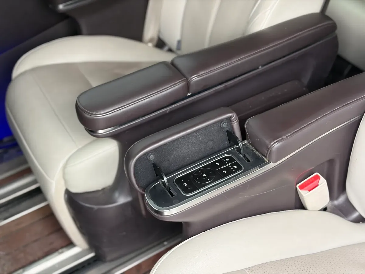 2021 GAC Trumpchi M8 2.0T 252HP L4 8AT,autocango,china used car exporter,china ev exporter,chinese used car exporter,chinese used ev exporter