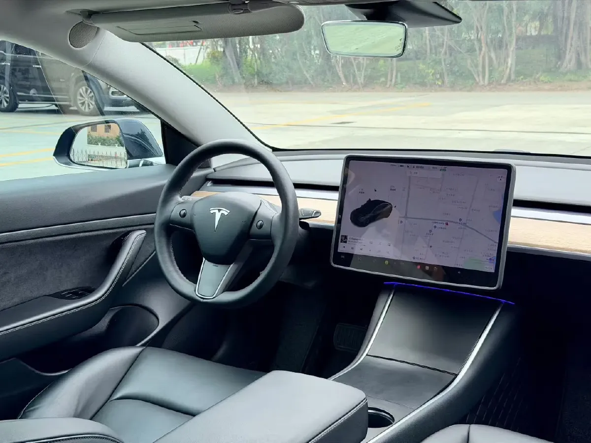 2021 Tesla Model 3 BEV 55KWH,autocango,china used car exporter,china ev exporter,chinese used car exporter,chinese used ev exporter