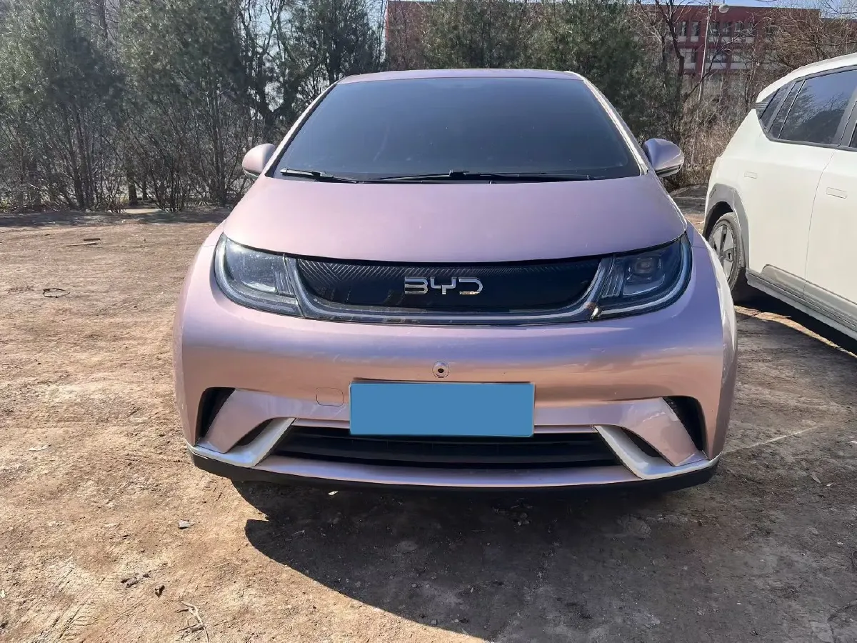 2024 BYD Dolphin BEV 44.928KWH,autocango,china used car exporter,china ev exporter,chinese used car exporter,chinese used ev exporter