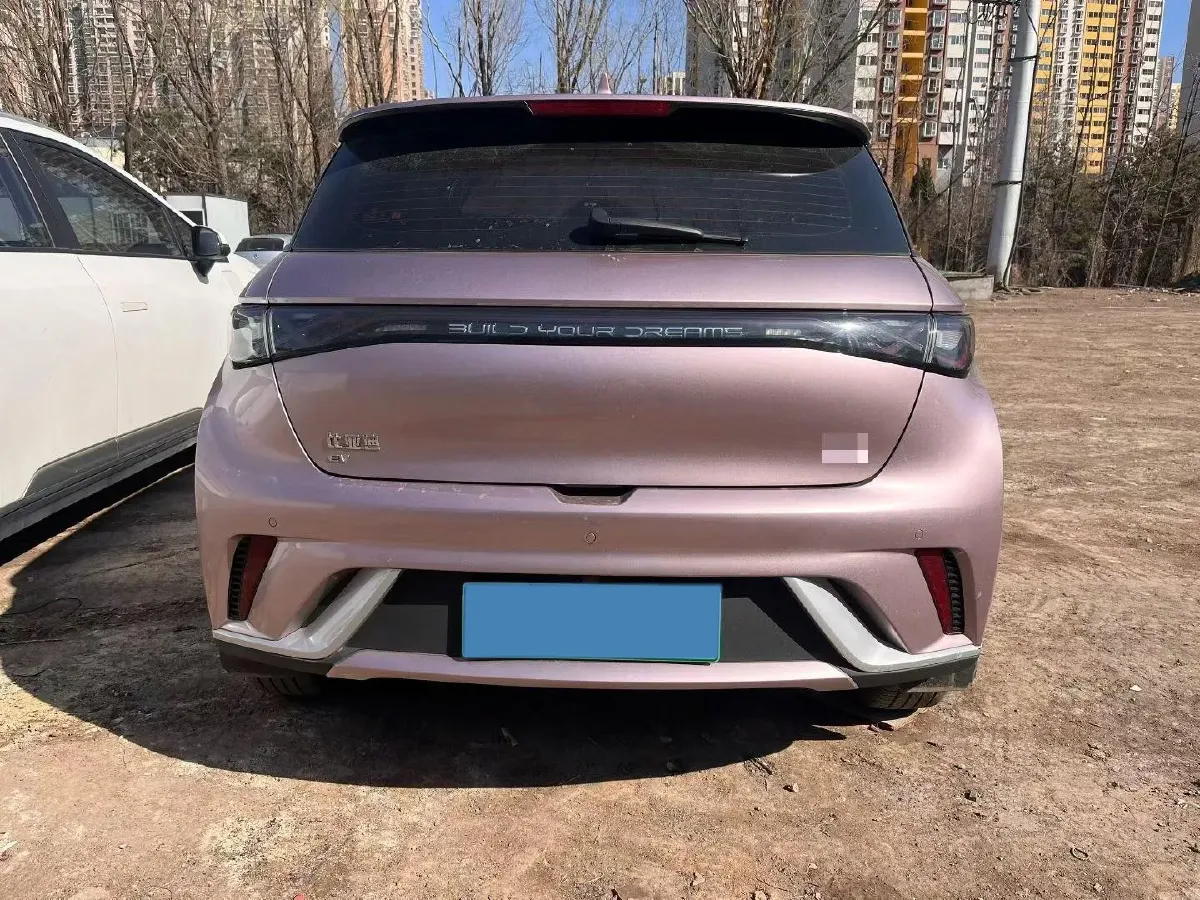 2024 BYD Dolphin BEV 44.928KWH,autocango,china used car exporter,china ev exporter,chinese used car exporter,chinese used ev exporter