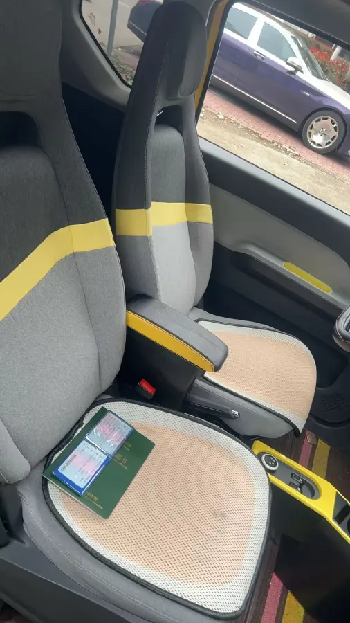 2021 WuLing HongGuang MINI EV BEV 9.3KWH,autocango,china used car exporter,china ev exporter,chinese used car exporter,chinese used ev exporter