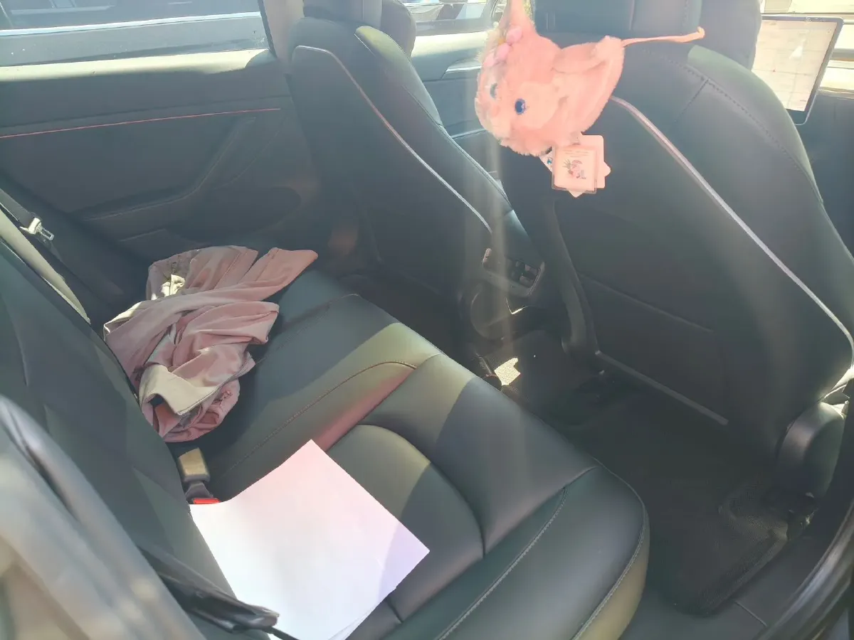 2021 Tesla Model 3 BEV 55KWH,autocango,china used car exporter,china ev exporter,chinese used car exporter,chinese used ev exporter