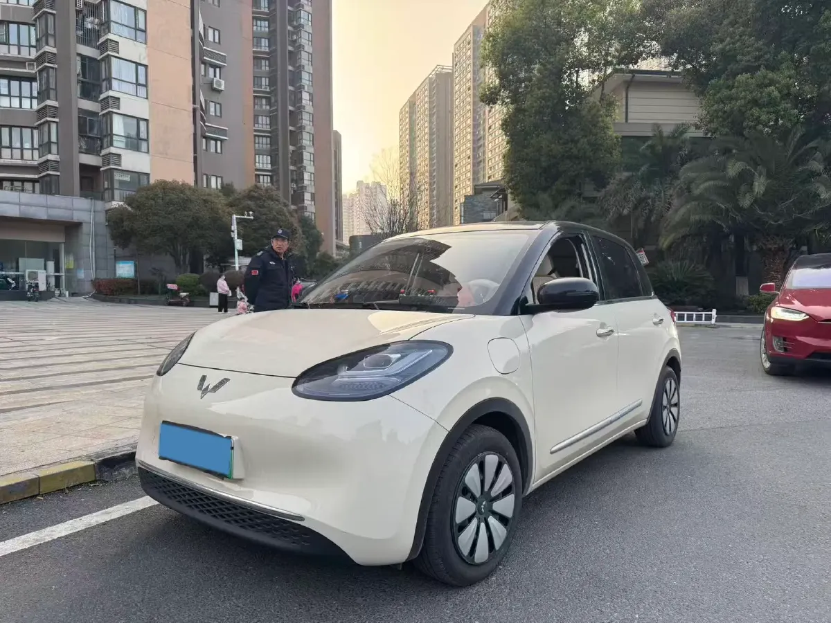 2024 WuLing BinGuo BEV 31.9KWH,autocango,china used car exporter,china ev exporter,chinese used car exporter,chinese used ev exporter