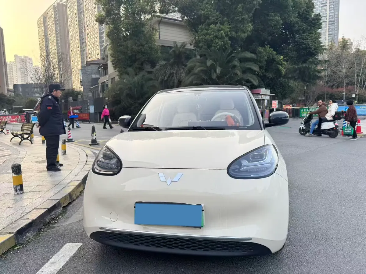 2024 WuLing BinGuo BEV 31.9KWH,autocango,china used car exporter,china ev exporter,chinese used car exporter,chinese used ev exporter