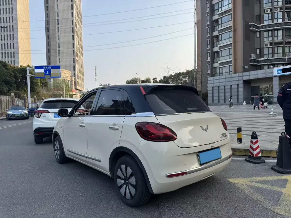 2024 WuLing BinGuo BEV 31.9KWH,autocango,china used car exporter,china ev exporter,chinese used car exporter,chinese used ev exporter