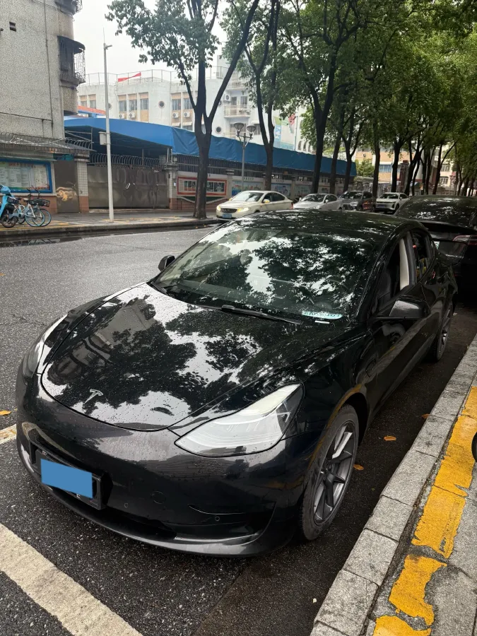 2021 Tesla Model 3 BEV 55KWH,autocango,china used car exporter,china ev exporter,chinese used car exporter,chinese used ev exporter