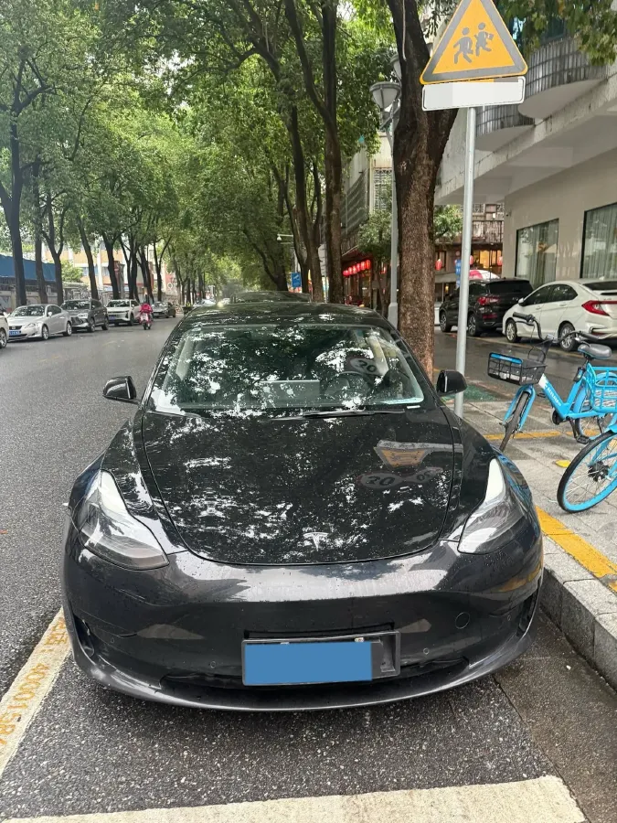 2021 Tesla Model 3 BEV 55KWH,autocango,china used car exporter,china ev exporter,chinese used car exporter,chinese used ev exporter