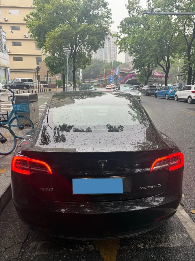 2021 Tesla Model 3 BEV 55KWH,autocango,china used car exporter,china ev exporter,chinese used car exporter,chinese used ev exporter