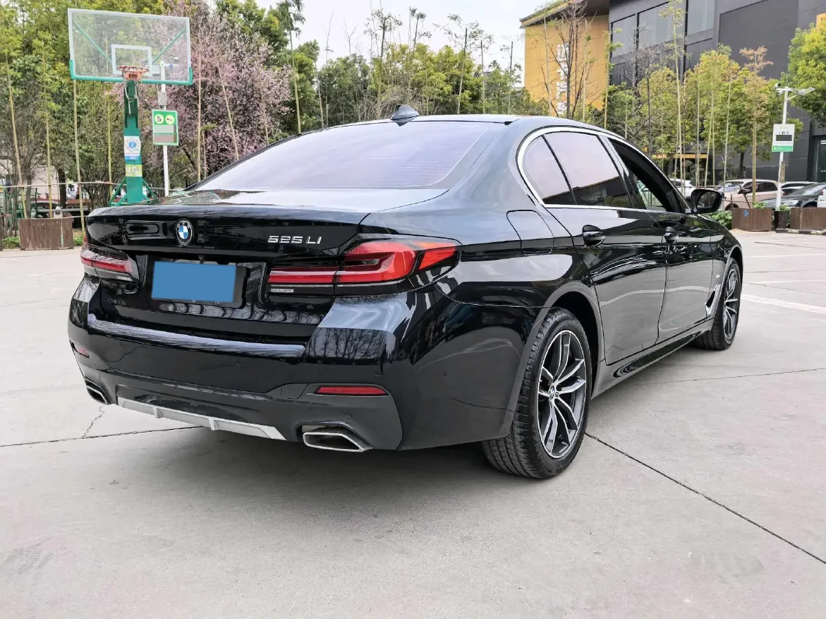 2022 BMW 5 Series 2.0T 184HP L4 8AT,autocango,china used car exporter,china ev exporter,chinese used car exporter,chinese used ev exporter