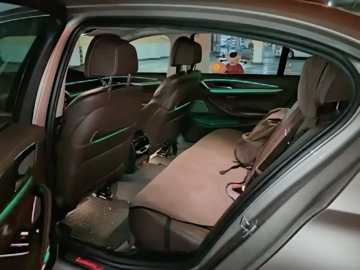 2020 BMW 5 Series 2.0T 252HP L4 8AT,autocango,china used car exporter,china ev exporter,chinese used car exporter,chinese used ev exporter