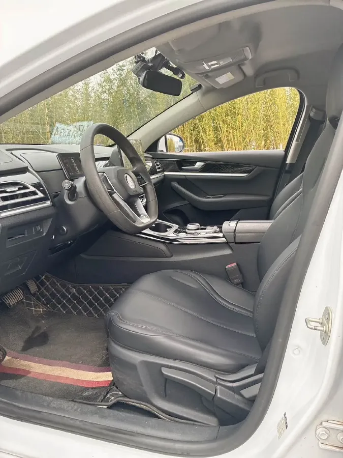 2021 BYD Qin BEV 53.56KWH,autocango,china used car exporter,china ev exporter,chinese used car exporter,chinese used ev exporter