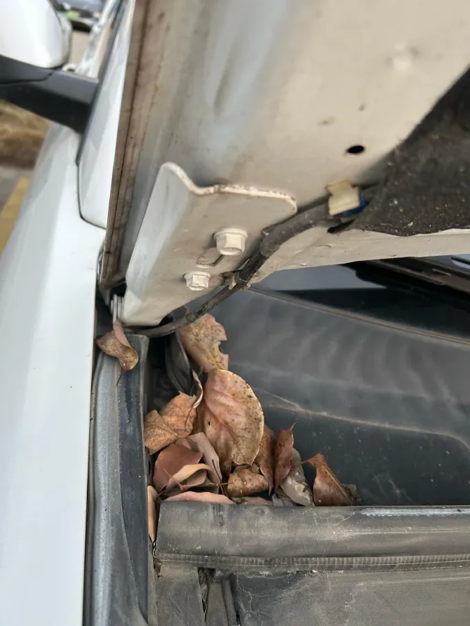 2019 Haval H6 Coupe 1.5T 169HP L4 7DCT,autocango,china used car exporter,china ev exporter,chinese used car exporter,chinese used ev exporter