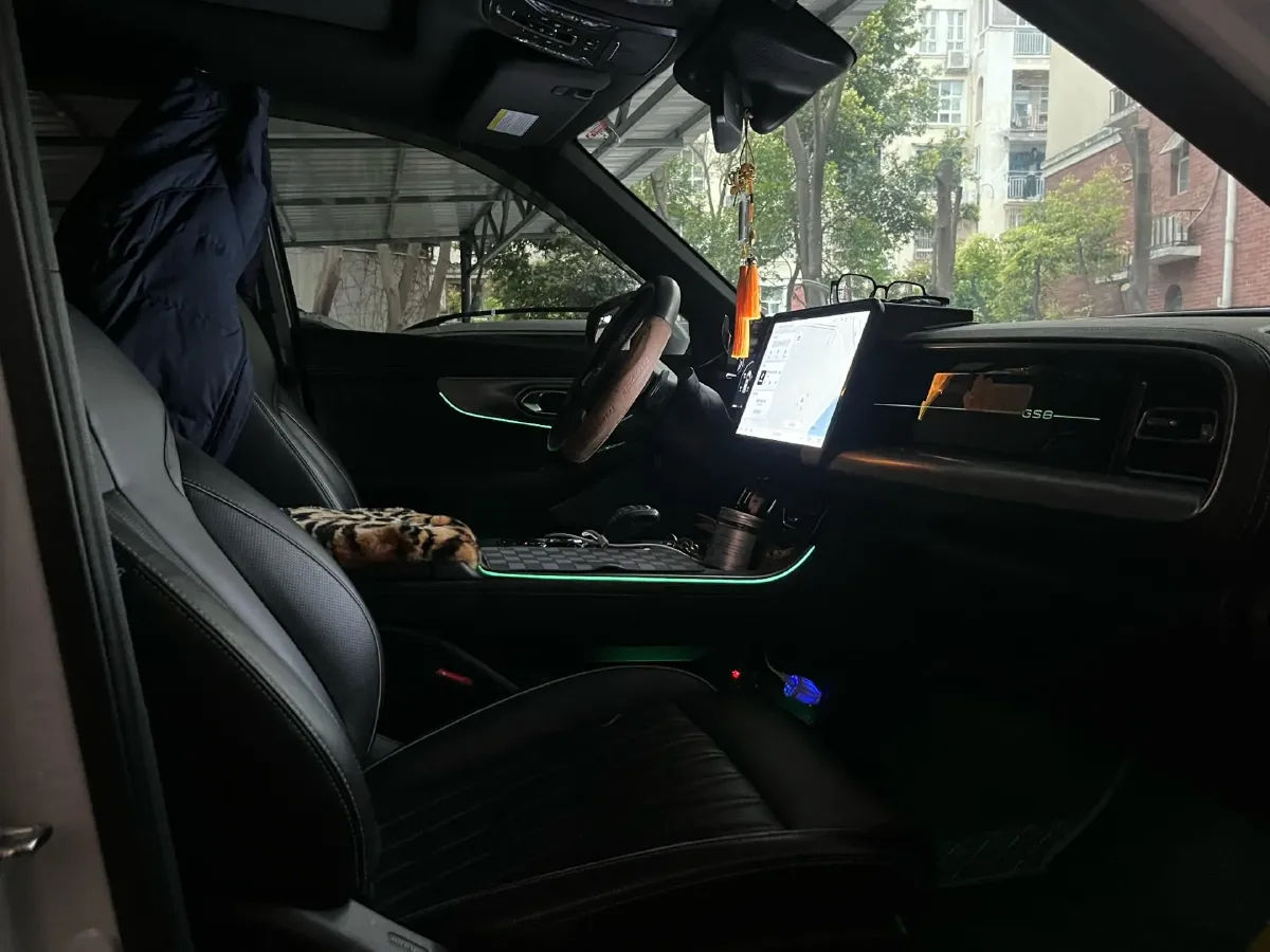 2024 GAC Trumpchi GS8 2.0T 252HP L4 8AT,autocango,china used car exporter,china ev exporter,chinese used car exporter,chinese used ev exporter