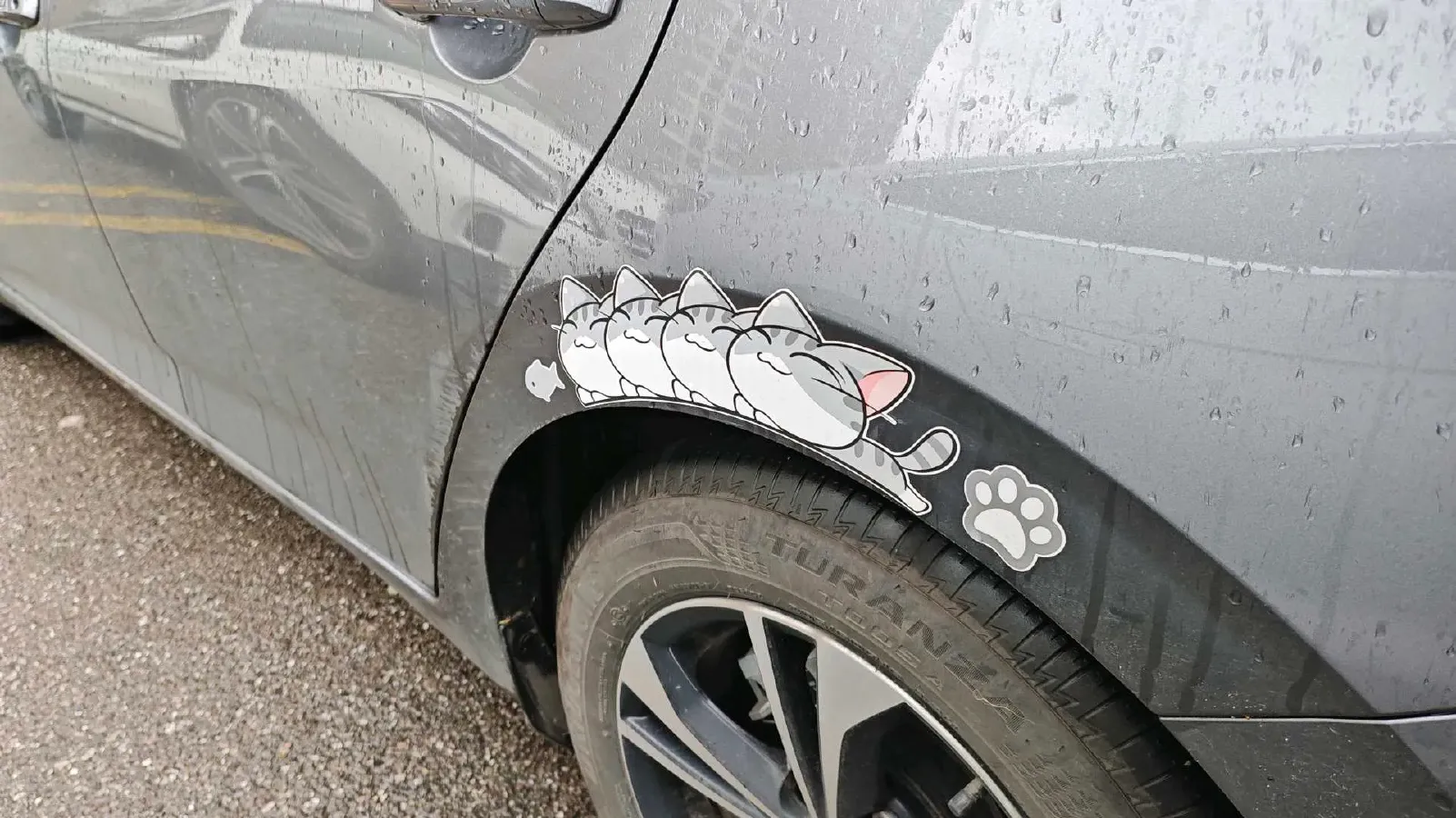 2023 Nissan Sylphy 1.6L 135HP L4 CVT,autocango,china used car exporter,china ev exporter,chinese used car exporter,chinese used ev exporter