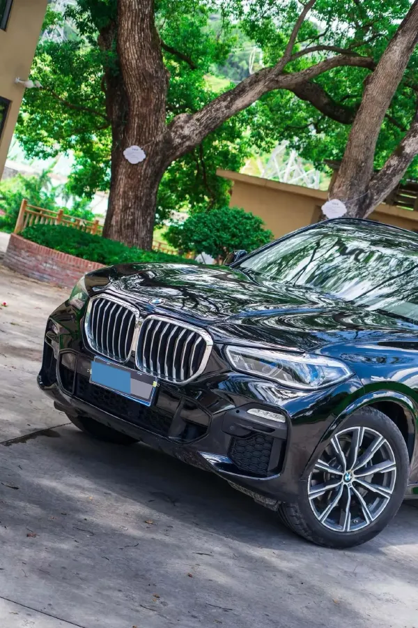 2019 BMW X5 3.0T 340HP L6 8AT,autocango,china used car exporter,china ev exporter,chinese used car exporter,chinese used ev exporter